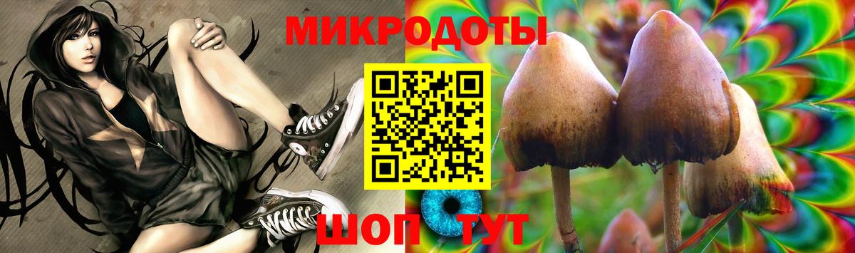 Галлюциногенные грибы мухоморы  Вход с VPN  купить  цена  Ковров 